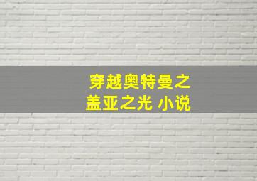 穿越奥特曼之盖亚之光 小说